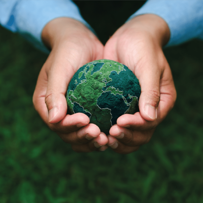 Entretien et nettoyage à Alès (6)