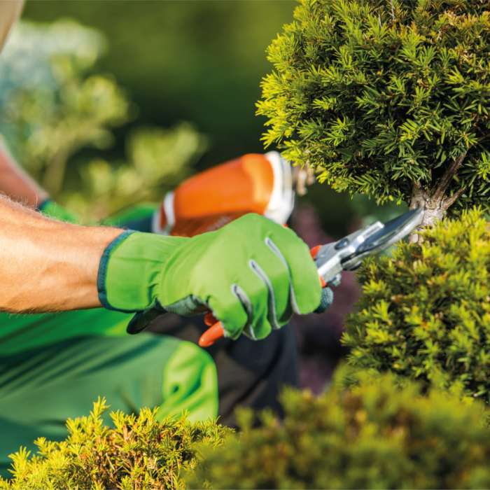Entretien et nettoyage à Alès (9)